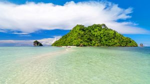 ทะเลแหวก