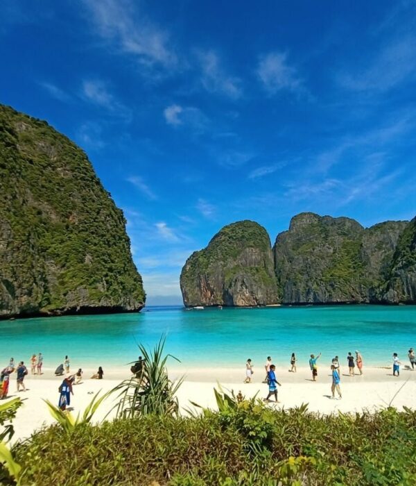 Maya-Bay-Teawlay