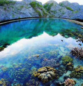 เกาะหัวใจมรกต ( Cocks Comb )