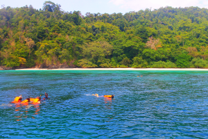 เกาะฮอร์สชู (Horse Shoe Island)