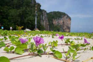 เกาะเหลาเหลียง