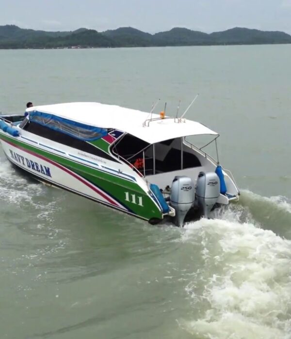เรือไปเกาะยาว